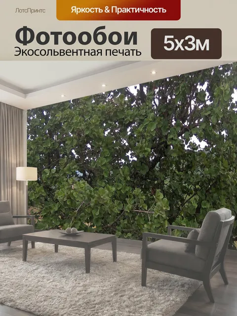 500 × 300 см · Экосольвентная печать