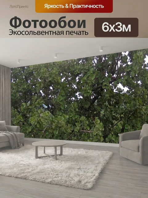 600 × 300 см · Экосольвентная печать