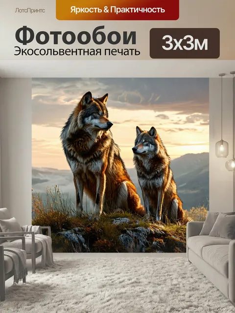 Фотообои Серый волк, вожак стаи, поиск добычи дикий зверь животное