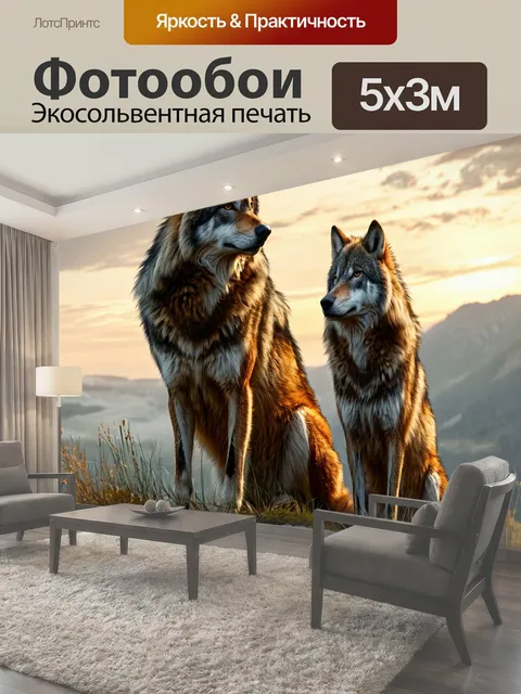 Фотообои Серый волк, вожак стаи, поиск добычи дикий зверь животное
