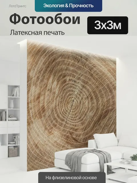 300 × 300 см · Латексная печать