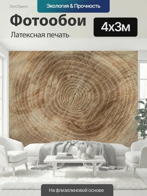 400 × 300 см · Латексная печать