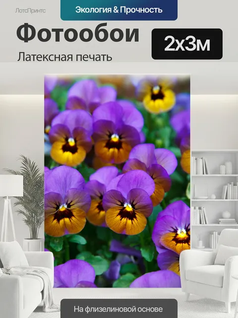200 × 300 см · Латексная печать