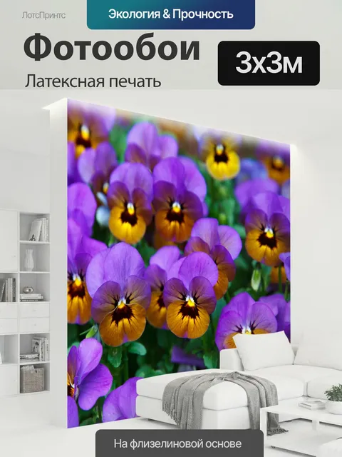300 × 300 см · Латексная печать