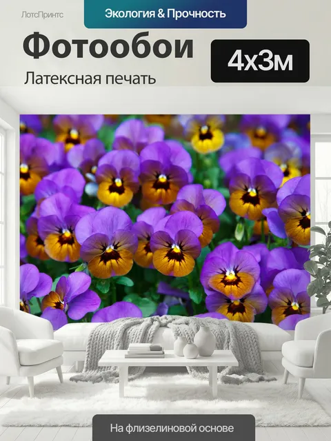 400 × 300 см · Латексная печать