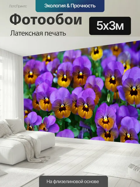 500 × 300 см · Латексная печать