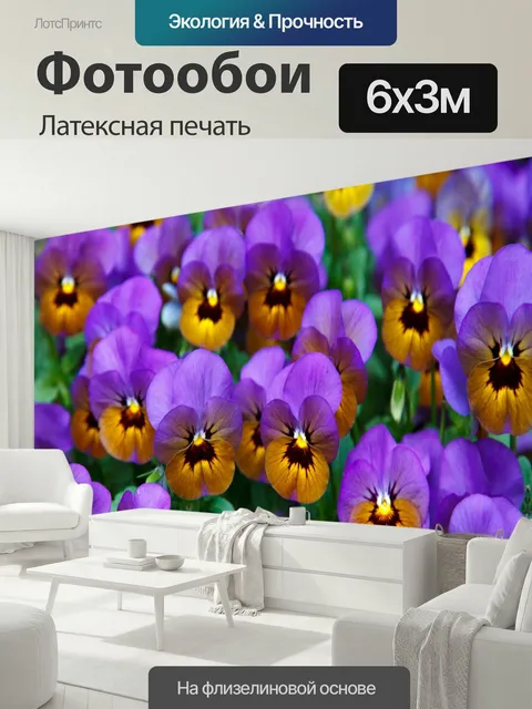600 × 300 см · Латексная печать