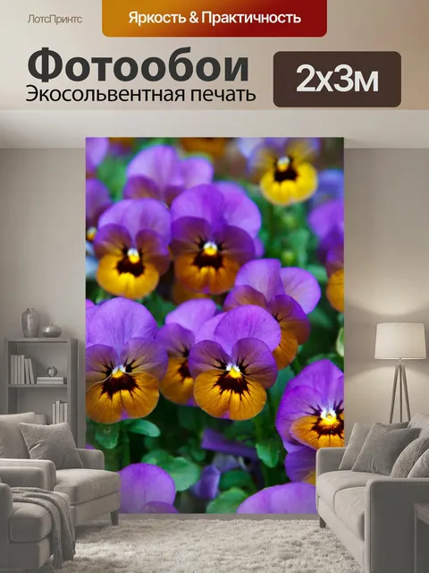 200 × 300 см · Экосольвентная печать