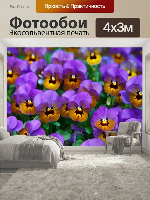 400 × 300 см · Экосольвентная печать