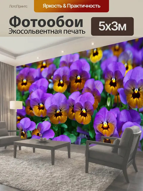 Фотообои Фиолетовые анютины глазки фиолетовый желтый фон