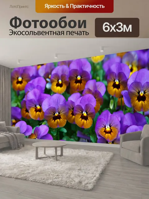 600 × 300 см · Экосольвентная печать