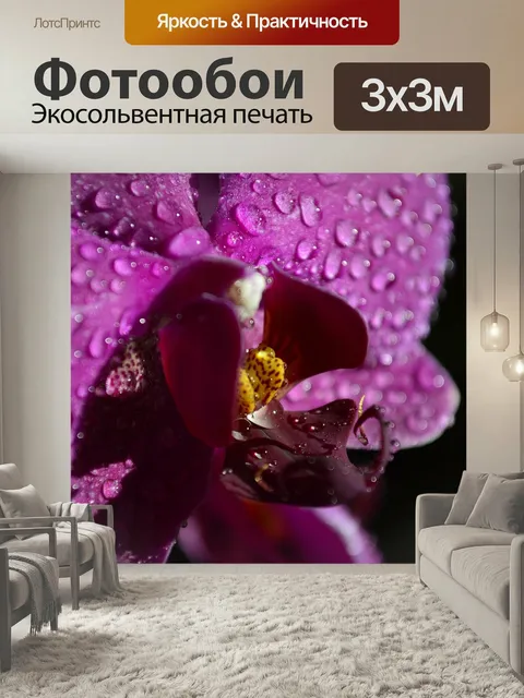 Фотообои Орхидея, цветок, фиолетовый