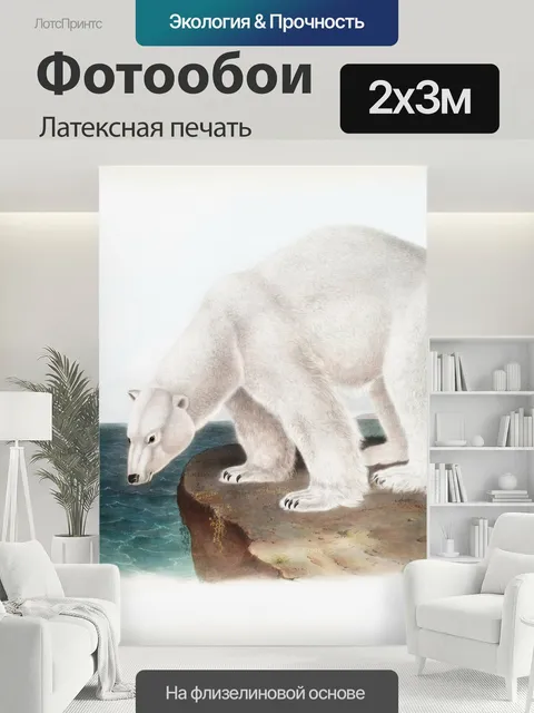 200 × 300 см · Латексная печать