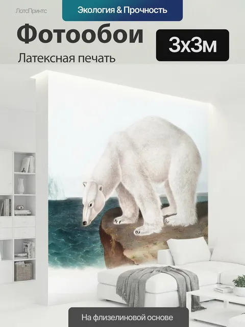 300 × 300 см · Латексная печать