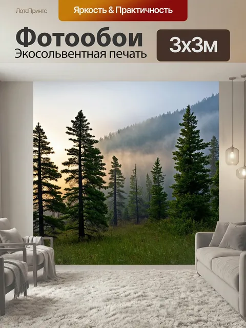 Фотообои Утро: раннее утро в горах с высокими соснами и туманом, фотографии, передающие атмосферу спокойствия