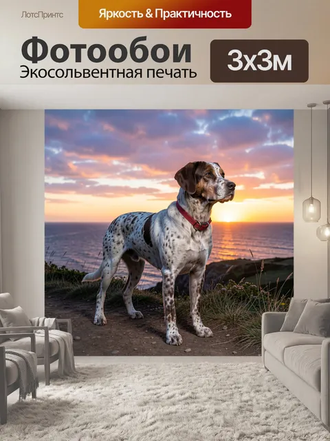 Фотообои Охотничья собака на закате