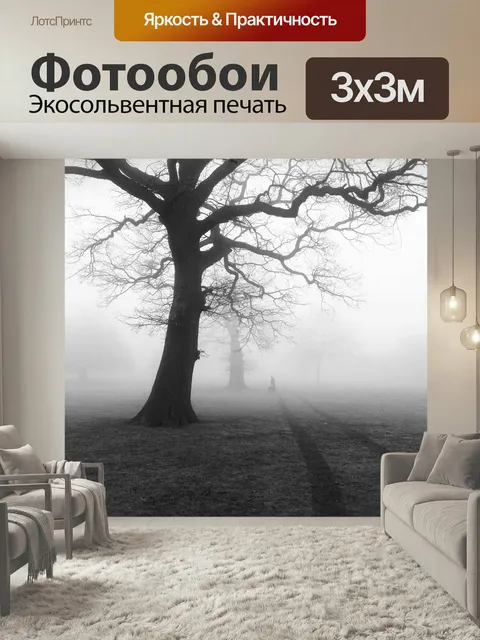 Фотообои Деревья, туман, жуткий