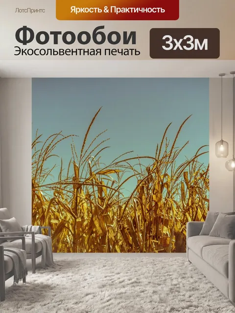 Фотообои Пшеница, поле, посевы