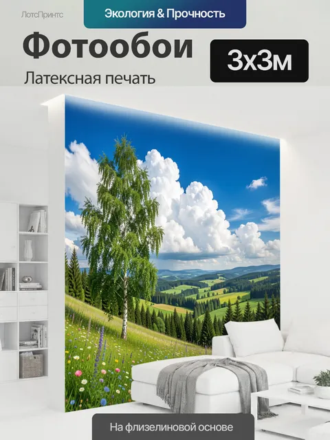 300 × 300 см · Латексная печать