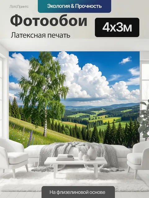 400 × 300 см · Латексная печать