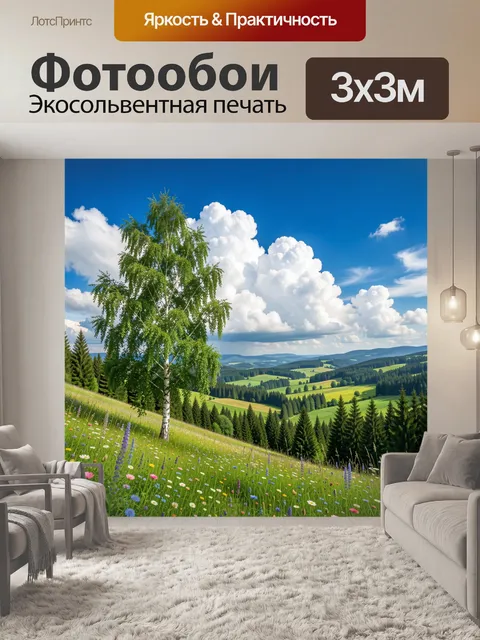 300 × 300 см · Экосольвентная печать