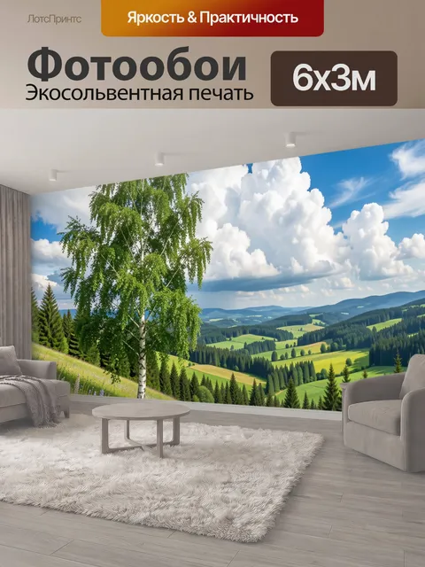 600 × 300 см · Экосольвентная печать