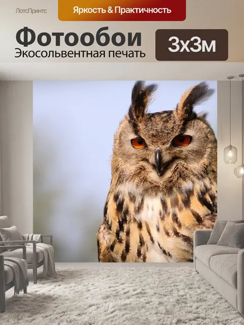 Фотообои Евразийский филин, сова, птица