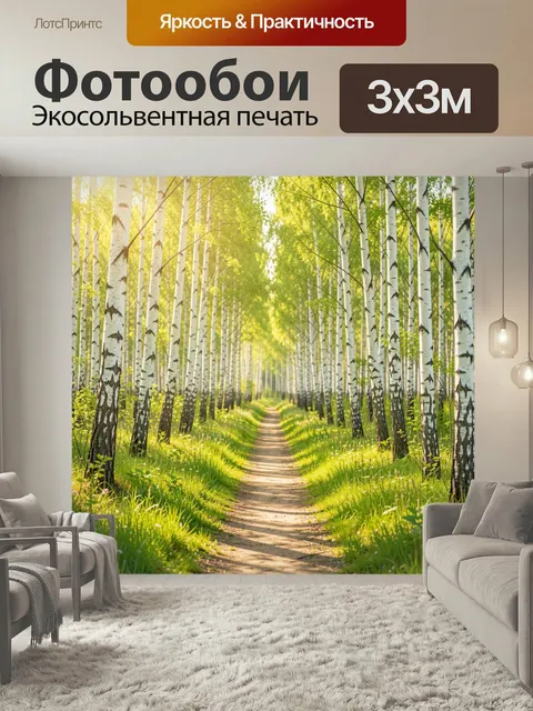 Фотообои Берёзовая аллея с тропинкой. Солнечный лесной пейзаж с ровными белоствольными деревьями и узкой грунтовой дор…