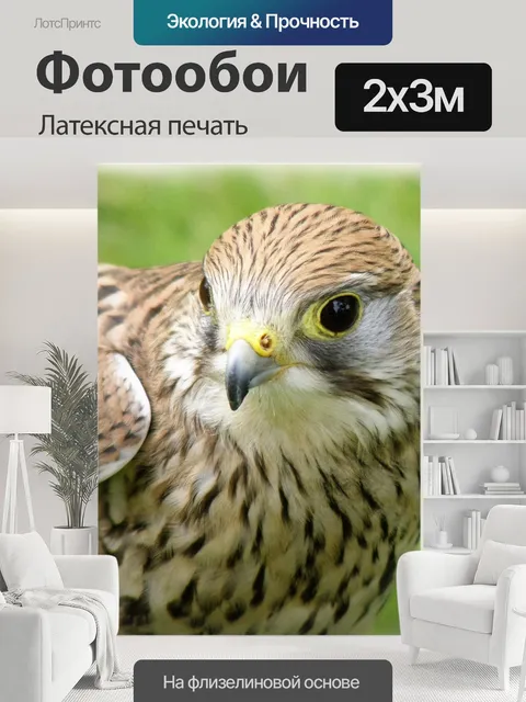 200 × 300 см · Латексная печать