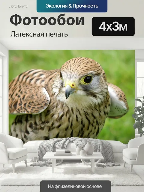 400 × 300 см · Латексная печать