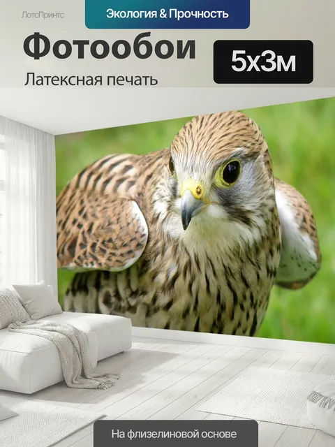 500 × 300 см · Латексная печать