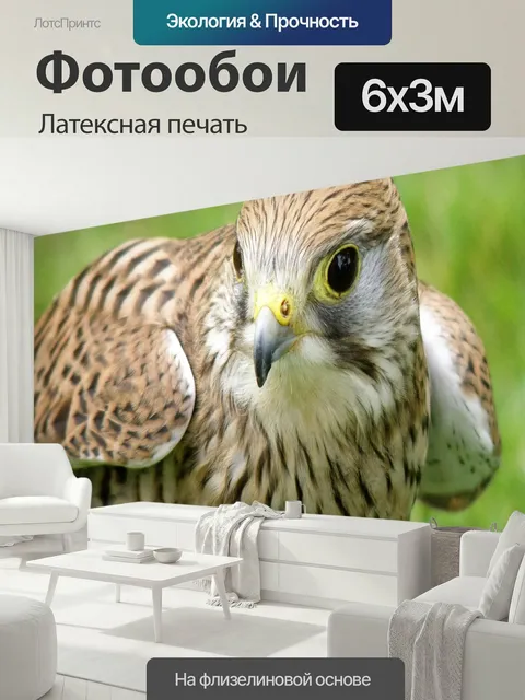 600 × 300 см · Латексная печать