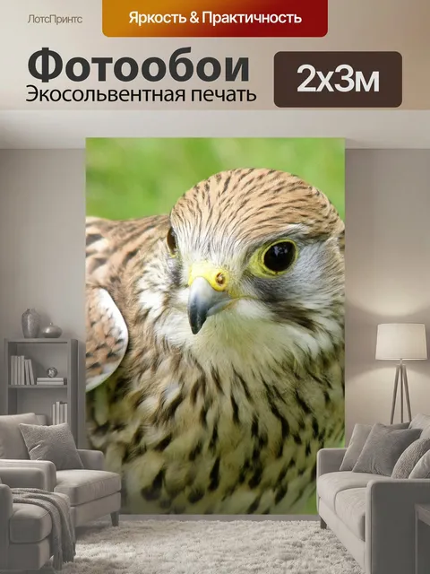 200 × 300 см · Экосольвентная печать