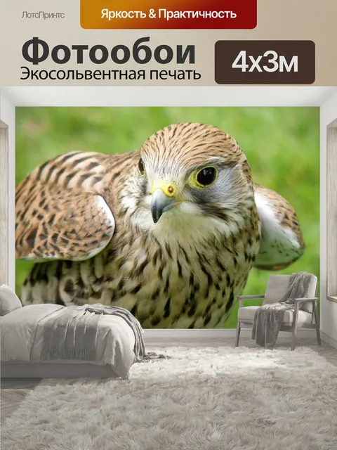 400 × 300 см · Экосольвентная печать