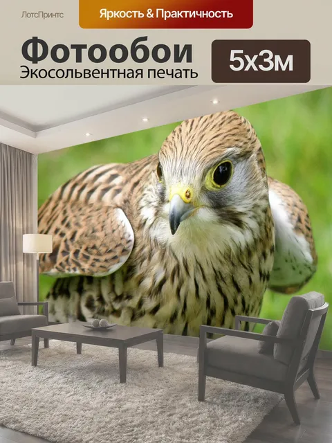 500 × 300 см · Экосольвентная печать