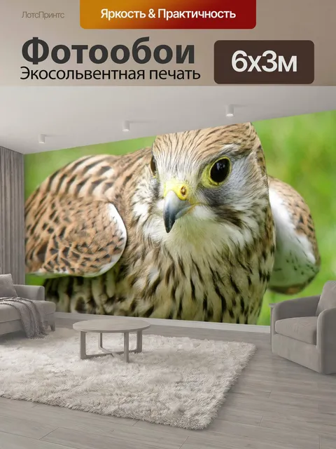 600 × 300 см · Экосольвентная печать
