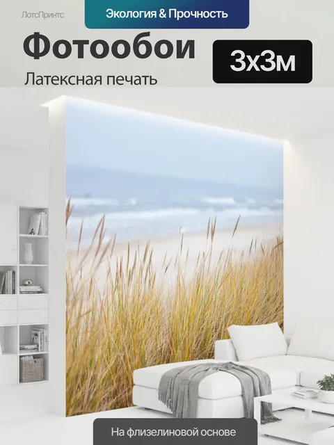 300 × 300 см · Латексная печать