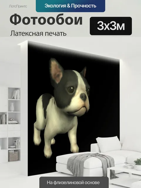300 × 300 см · Латексная печать