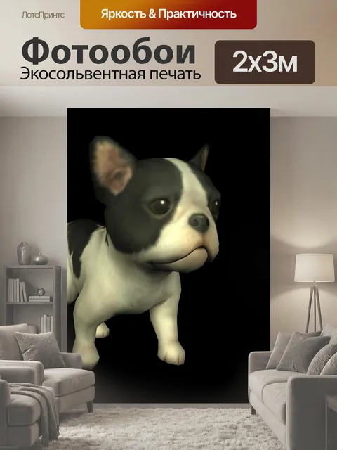 200 × 300 см · Экосольвентная печать