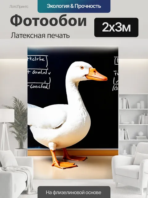 200 × 300 см · Латексная печать