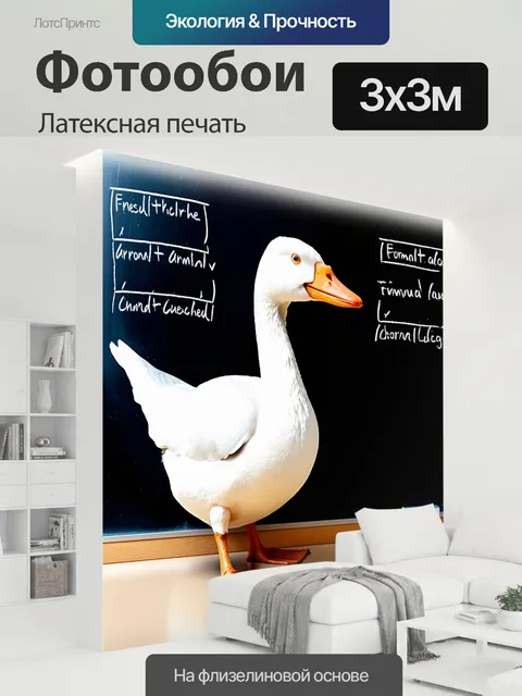300 × 300 см · Латексная печать