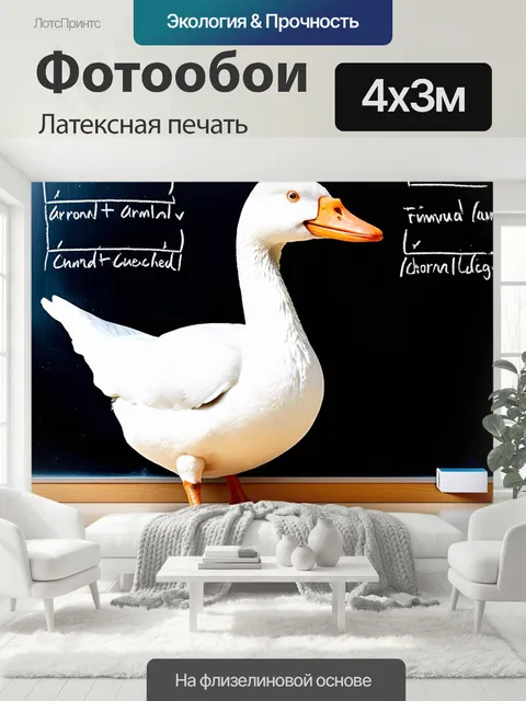 400 × 300 см · Латексная печать
