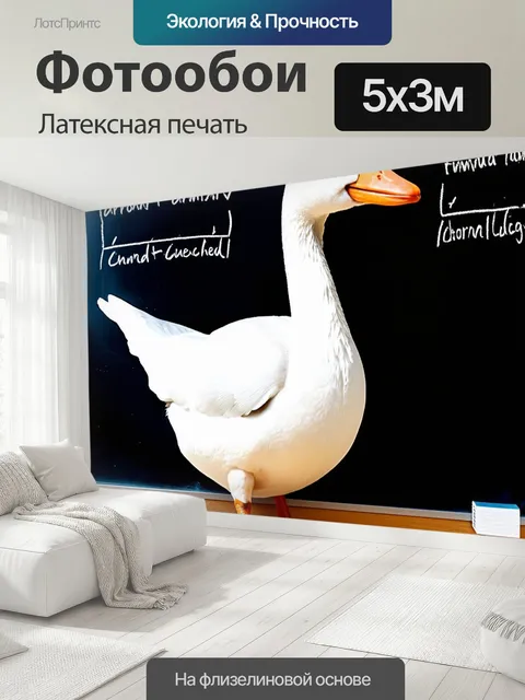 500 × 300 см · Латексная печать