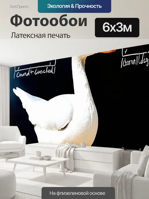 600 × 300 см · Латексная печать