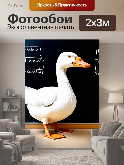 200 × 300 см · Экосольвентная печать