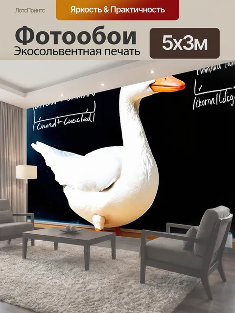 500 × 300 см · Экосольвентная печать
