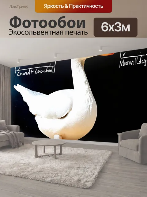 600 × 300 см · Экосольвентная печать