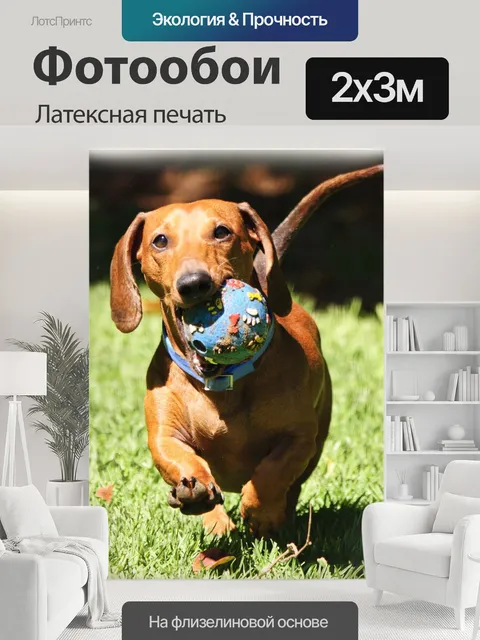 200 × 300 см · Латексная печать