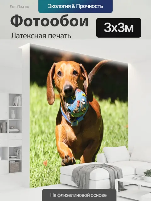 300 × 300 см · Латексная печать