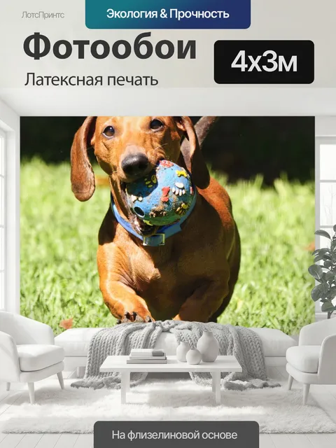 400 × 300 см · Латексная печать